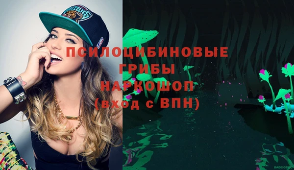 амф Аркадак