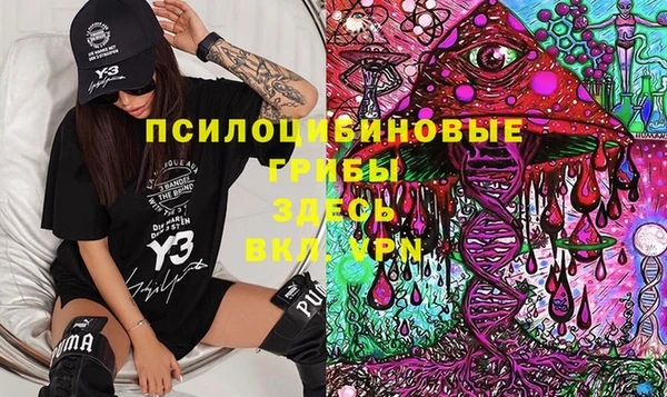 дживик Армянск