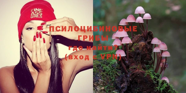 амф Аркадак