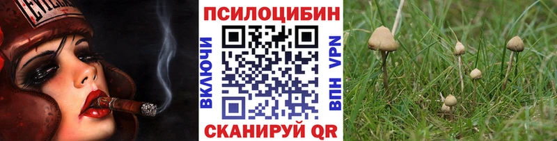 Псилоцибиновые грибы мухоморы Боготол